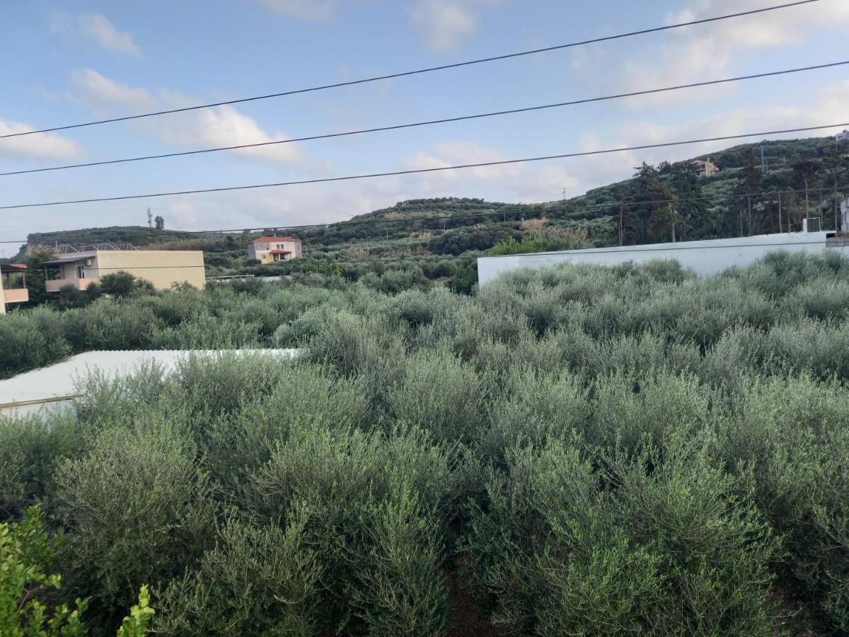 Michalis Litinas Apartments Agia Marina المظهر الخارجي الصورة